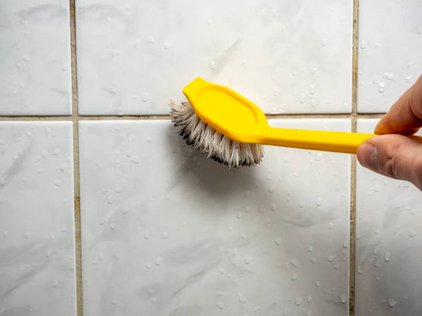 Best Residential Mold Removal  in Lincoln Beach, OR