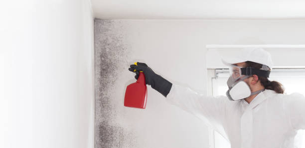 Best Mold Damage Repair  in Lincoln Beach, OR