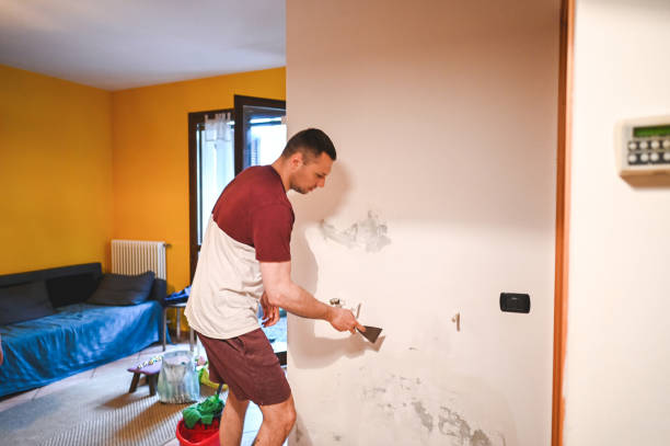 Office Mold Removal Services in Lincoln Beach, OR