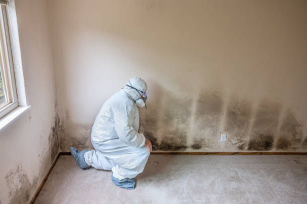 Best Certified Mold Removal  in Lincoln Beach, OR