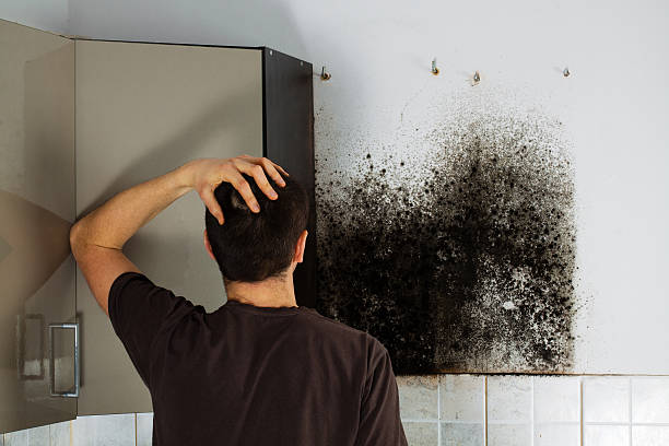 Best Commercial Mold Removal  in Lincoln Beach, OR
