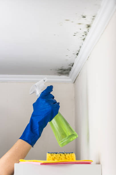 Best Emergency Mold Removal  in Lincoln Beach, OR